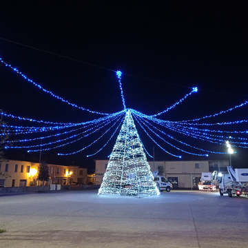 Sapin illuminé